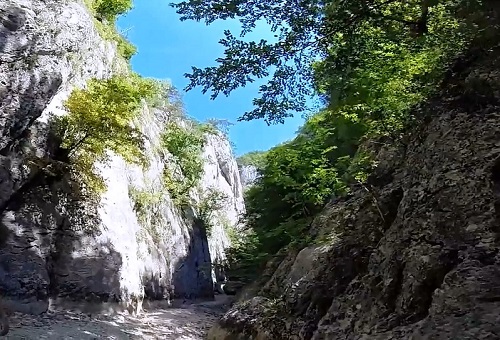 В ущелье Большого каньона