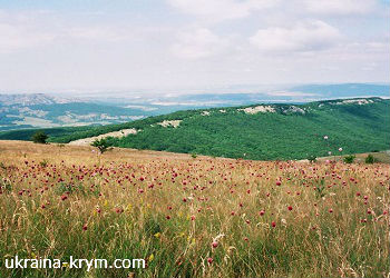 Яйла Караби